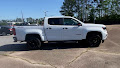 2021 Chevrolet Colorado 4WD LT